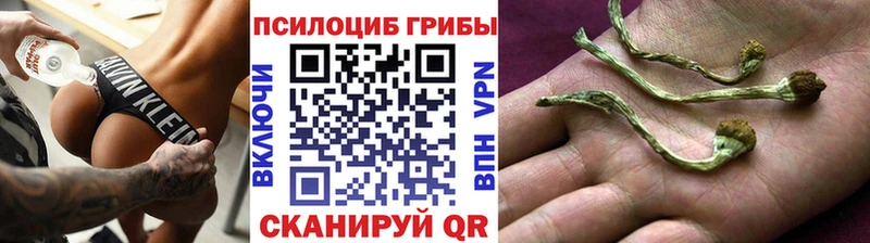 Псилоцибиновые грибы Magic Shrooms Староминская