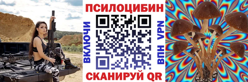 Псилоцибиновые грибы мицелий  где купить наркоту  Староминская 