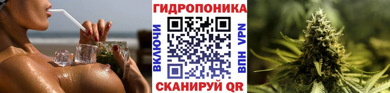 МАРИХУАНА сатива  купить наркоту  Староминская 